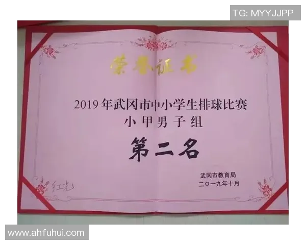 深圳排球队在挑战赛中的心理素质表现分析与反思